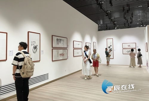 近百件藝術(shù)精品展現(xiàn)墨韻里的鄉(xiāng)愁 湘籍畫家蘇高宇作品展在長(zhǎng)沙開幕